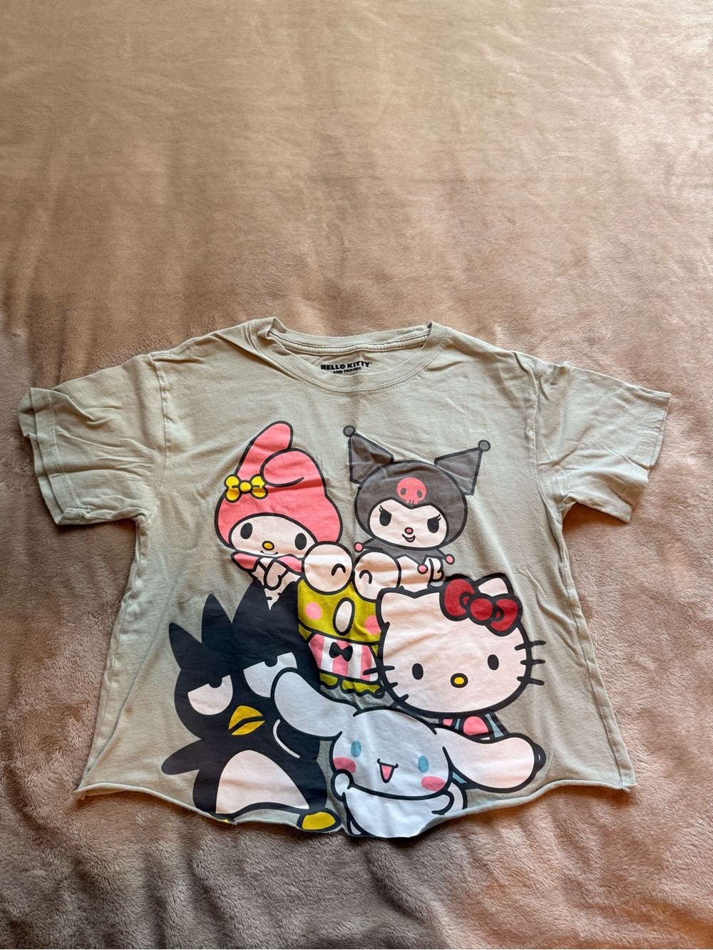 Sanrio Green Short Sleeve Tee with Colorful Character Graphic
